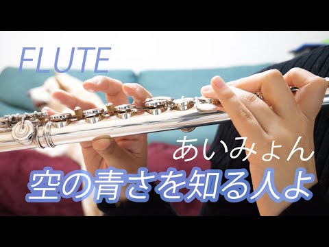 【フルート】空の青さを知る人よ/あいみょん【演奏してみた】FLUTE