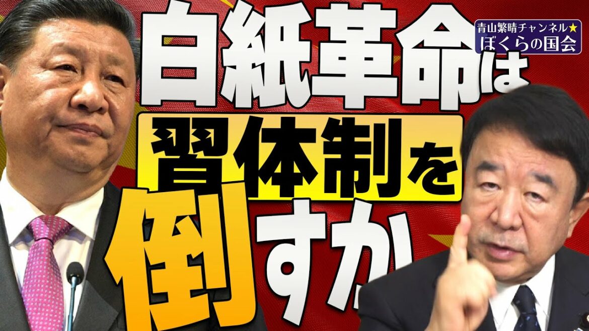 【ぼくらの国会・第440回】ニュースの尻尾「白紙革命は習体制を倒すのか」
