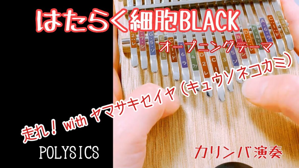 【カリンバ演奏】走れ! with ヤマサキセイヤ (キュウソネコカミ) POLYSICS/はたらく細胞BLACK 主題歌