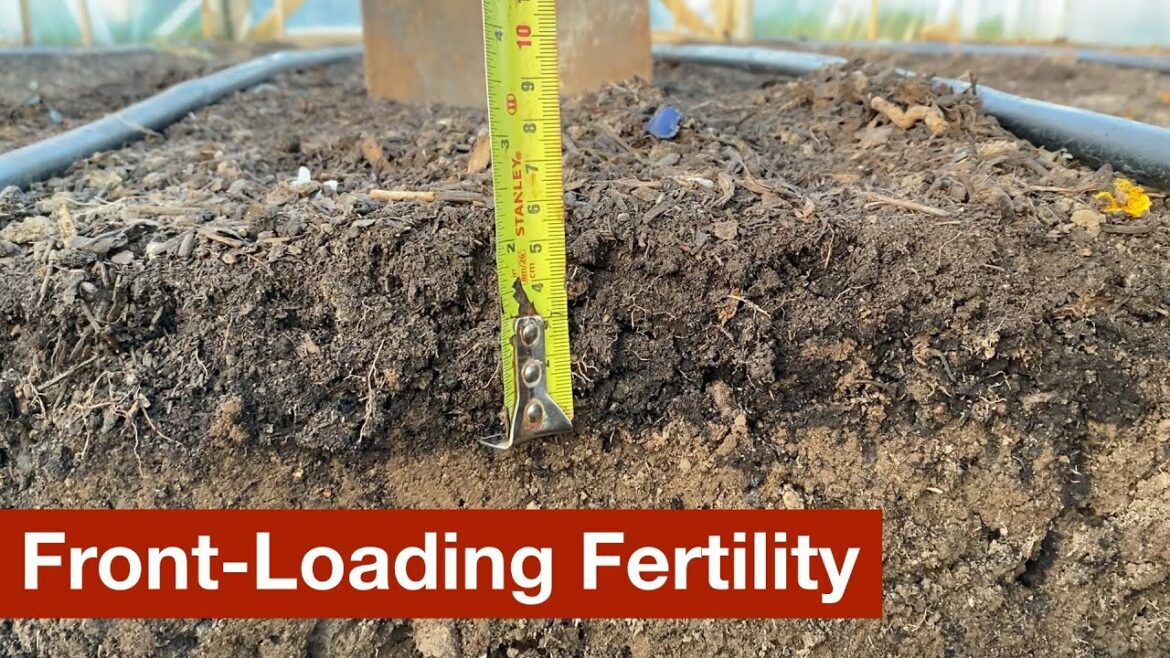 Front-Loading Fertility