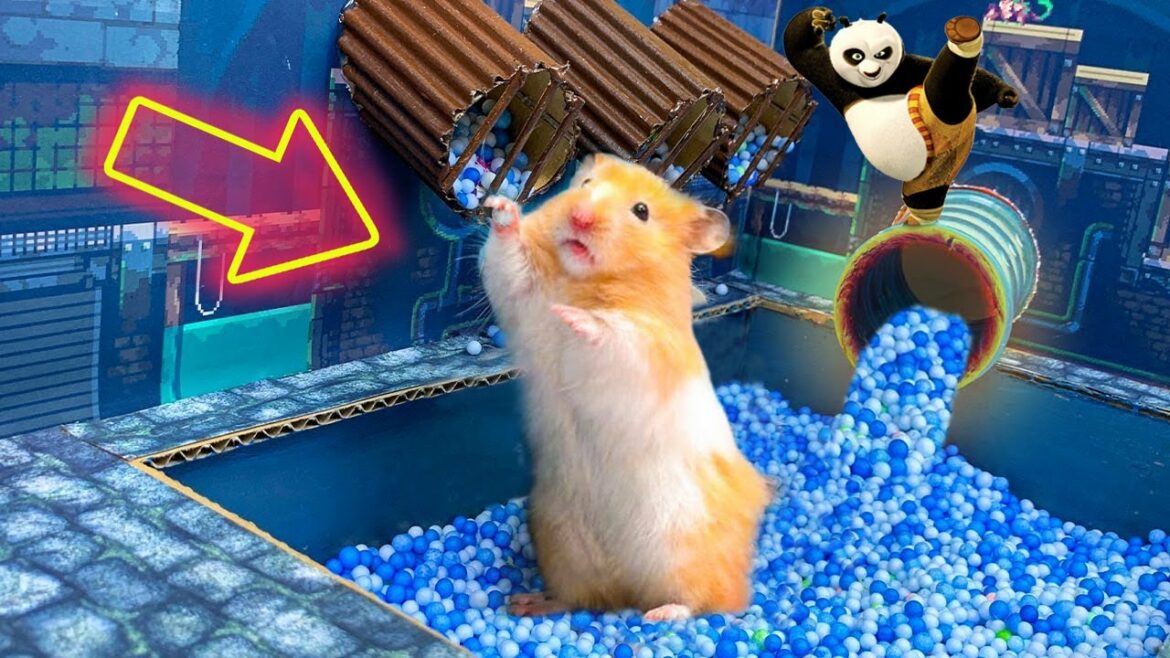 カンフー・パンダからハムスターが逃げる くまぽさん に追われる 🐹【スーパーハムスター】