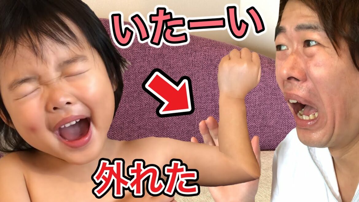 【閲覧注意】ここちゃんの腕が外れたので治してみました。。。