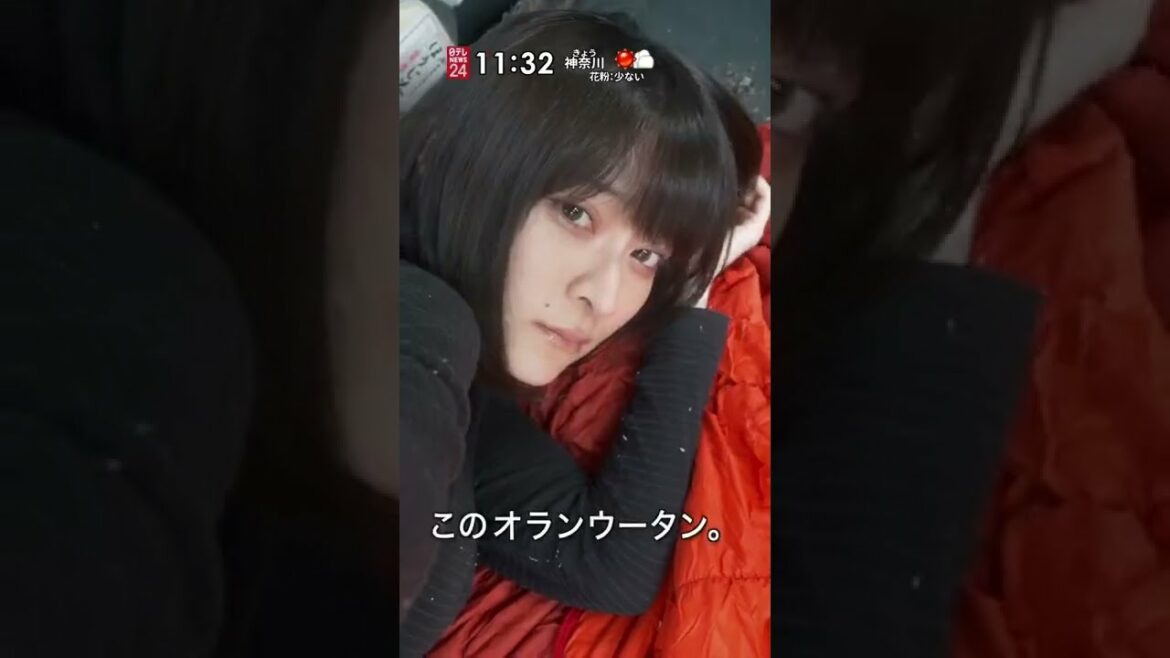 【限定公開】新種の○○を発見して驚く貧困女子 りんの田舎暮らし アプリ #shorts