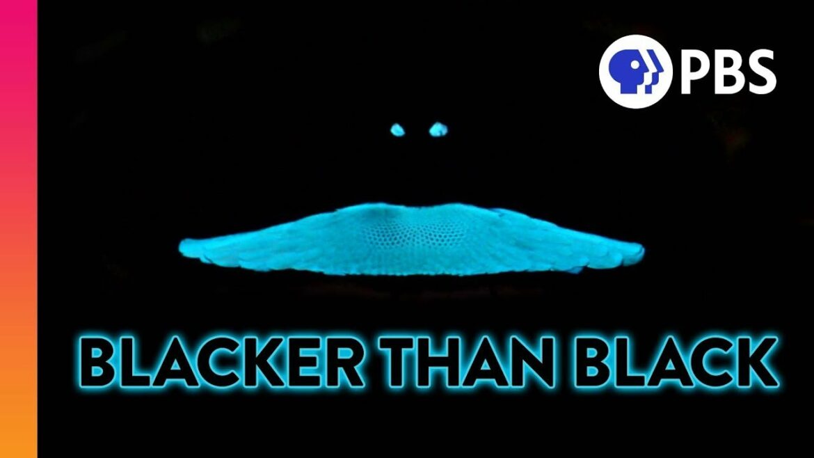 In Search of the Blackest Thing on Earth