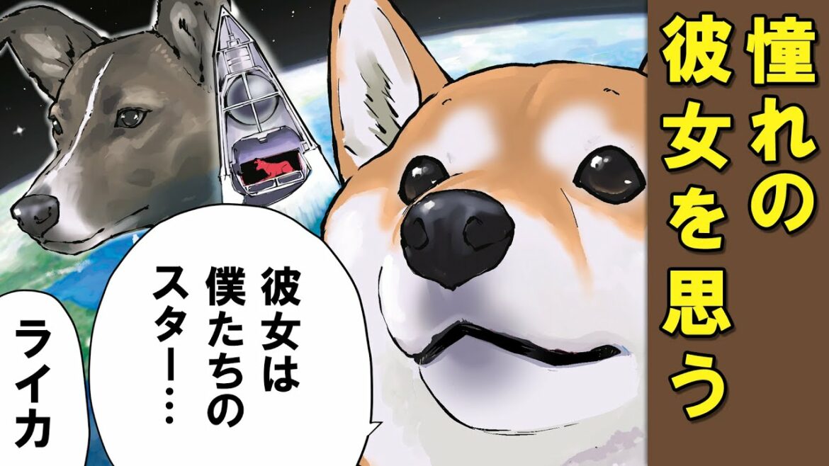 宇宙を旅したとある犬に思いを馳せる柴犬【アニメ】【漫画】