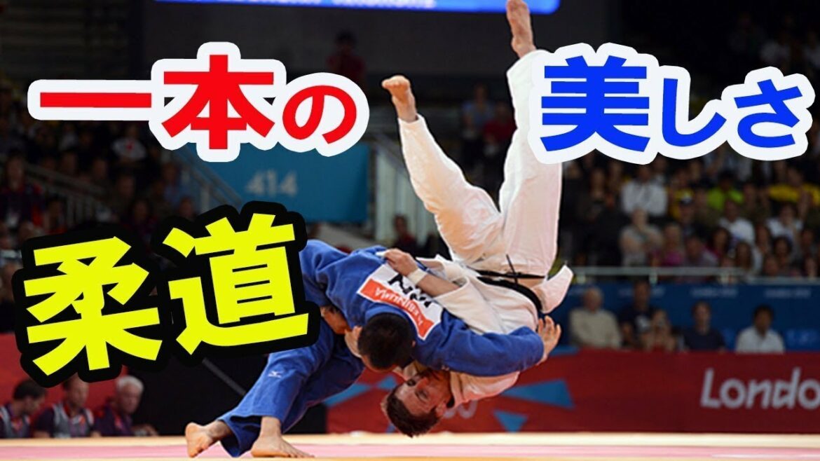 【柔道】マジすげえ!!!華麗な一本..!!これは見物!!驚愕!!【スポーツ】
