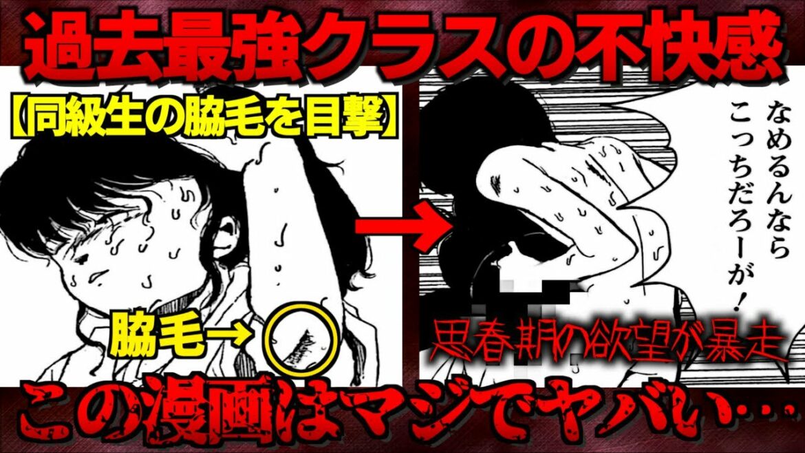 【衝撃】男子中学生が同級生の女子の脇毛を目撃した結果…最悪の結末へ【ゆっくり解説】