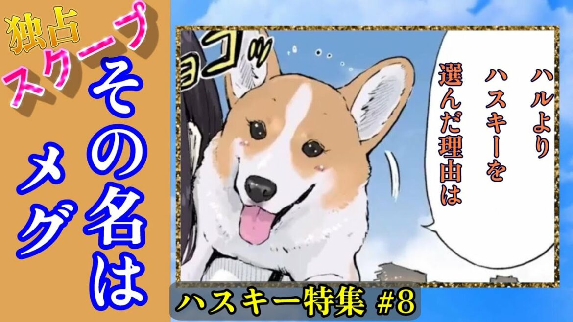 ハスキー特集 ⑧メグ  ハルからハスキーに乗り換える 【世界の終わりに柴犬と】【アニメ】
