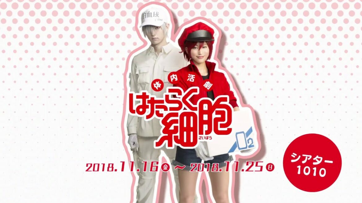 体内活劇「はたらく細胞」公演告知ムービー(15秒)