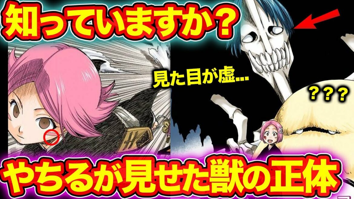【BLEACH】やちるが呼んだ三歩剣獣の正体がヤバイ!更木剣八の卍解が扱う謎の力とは?(ブリーチ)