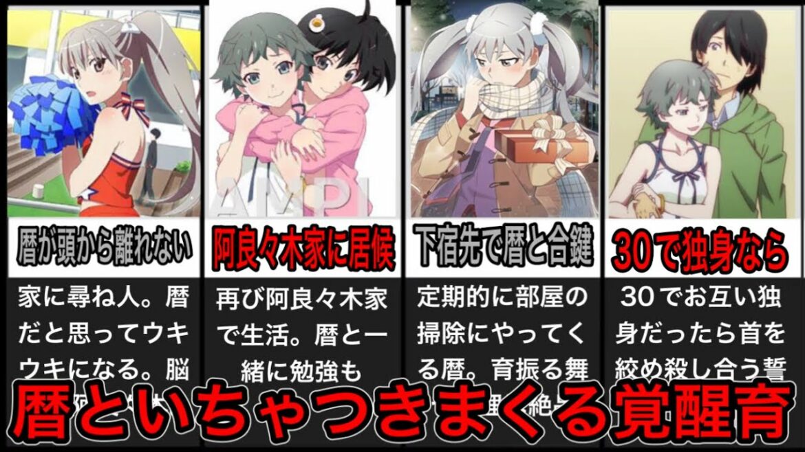 【暦LOVE 】老倉育の高校卒業から23歳までまとめ【ネタバレ】【化物語】【物語シリーズ】