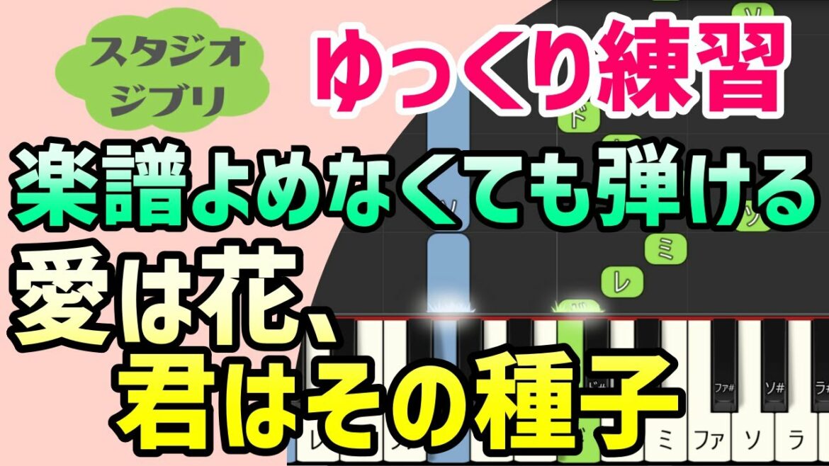 【初心者でも弾ける】愛は花、君はその種子(おもひでぽろぽろ)ピアノ簡単アレンジ*ドレミ付きゆっくり*1本指*片手だけ*両手でも