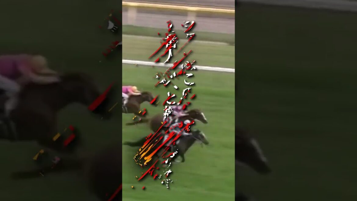 常にトップレベルの相手と走り続け、その挑戦する姿に多くのファンは勇気をもらった #shorts #競馬 #ナリタトップロード