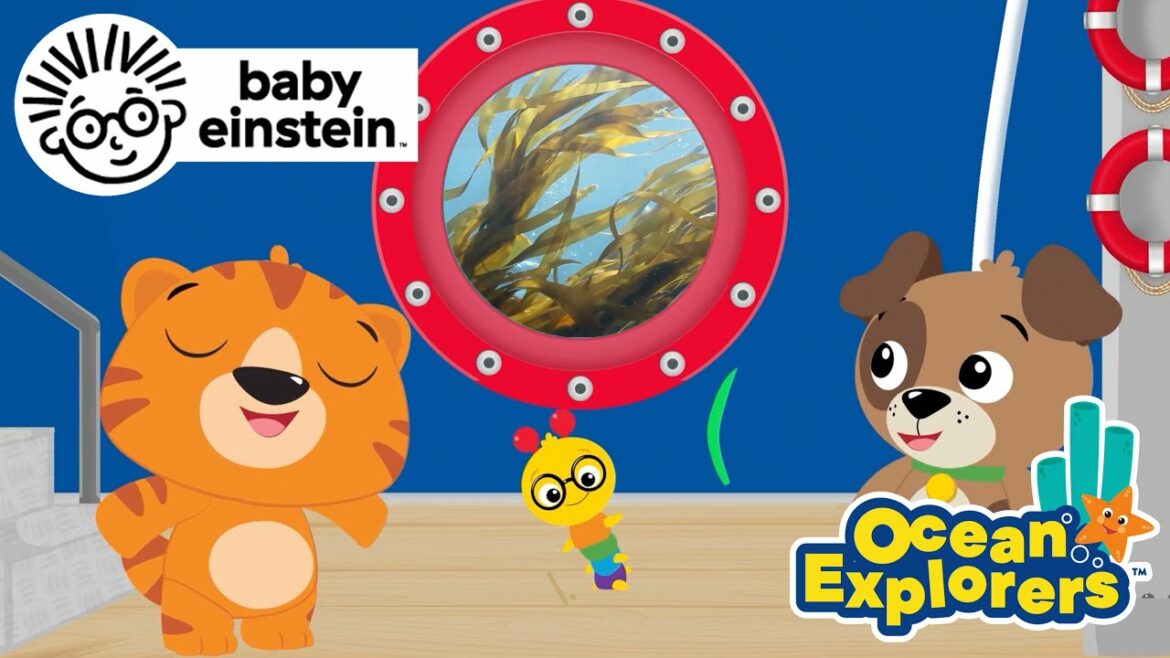 Let's Explore: Fish & Colors! | Ocean Explorers | New Series | Baby Einstein | Toddler Learning Show