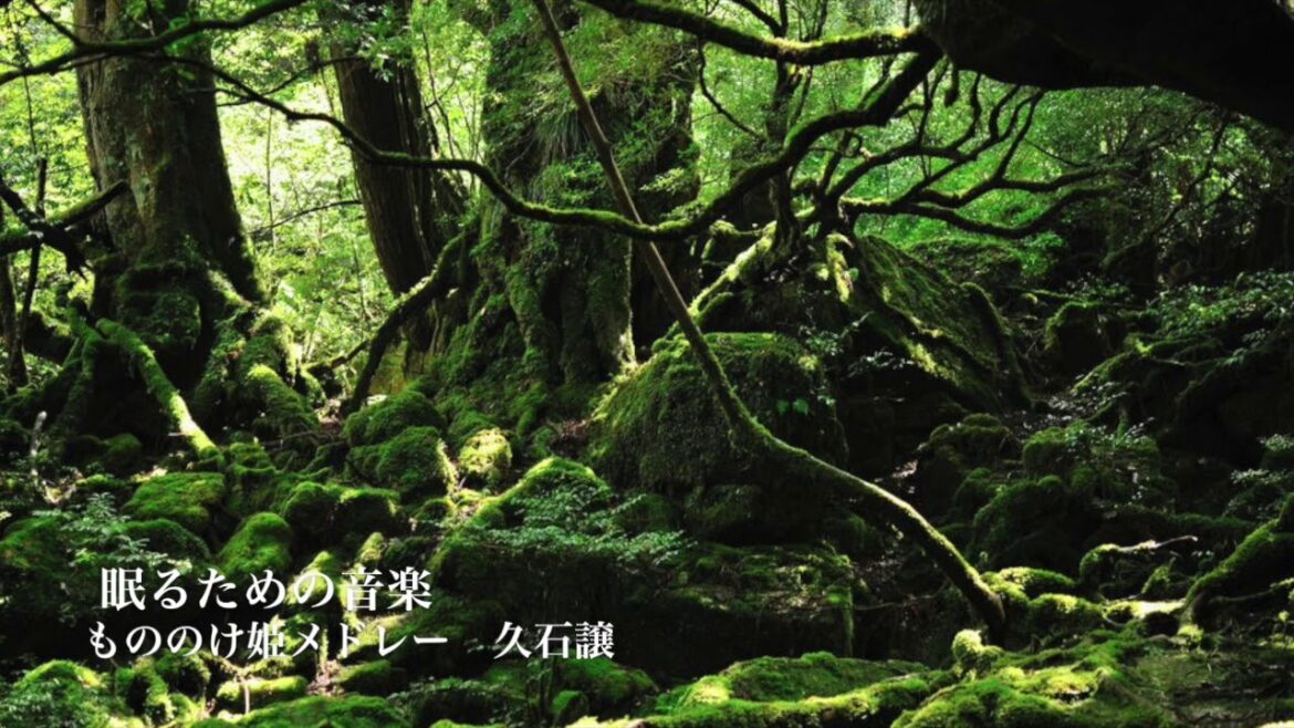 【睡眠用BGM】眠る5分前に聴く癒しの音楽 ⑥ アシタカせっ記〜もののけ姫〜アシタカとサン(もののけ姫メドレー) 久石譲