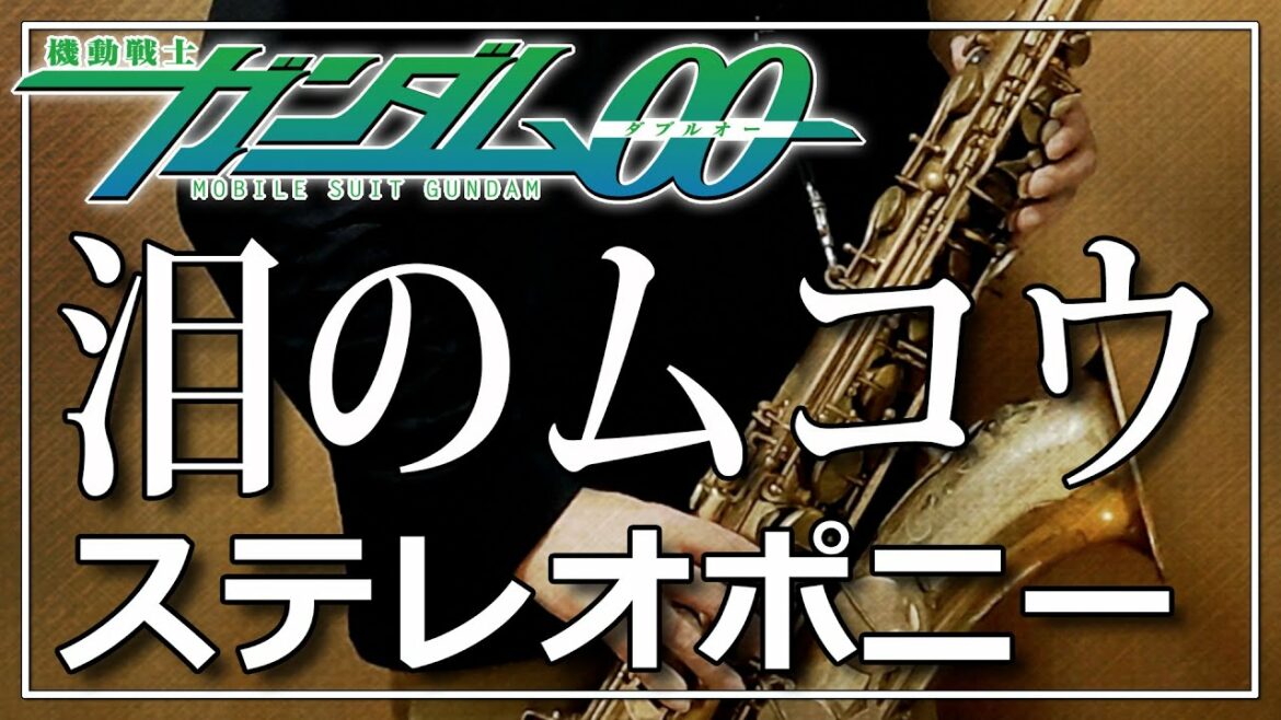 【ステレオポニー】泪のムコウ『機動戦士ガンダム00』【演奏してみた】