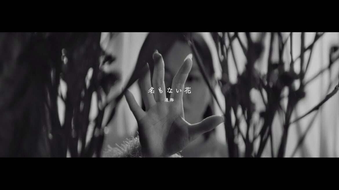 遥海 -『名もない花』MUSIC VIDEO