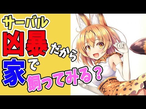 【けものフレンズ2】【サーバル】けものフレンズでおなじみ!すごーい、サーバルをおもしろく紹介します!飼うことが出来…【VTuber】
