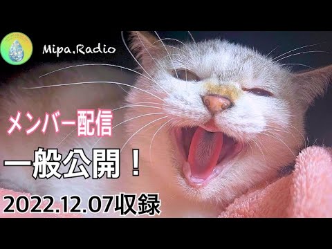 一般公開!みぱね2ndメンバー限定不定期配信!ディノとクロとメメちゃんの治療について!2022年12月7日