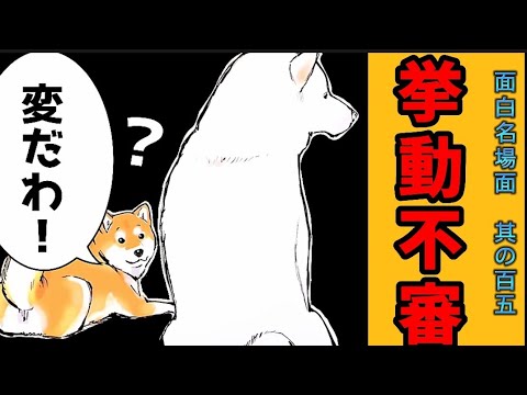 【世界の終わりに柴犬と】切り抜き編集 # 105《ヌルッと動きます(時々)。理論集》 #世界の終わりに柴犬と  #アニメ #柴犬