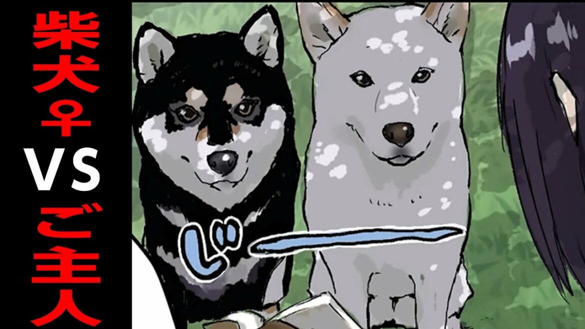 【壮絶】ハルさんを掛けた女の争い【世界の終わりに柴犬と】