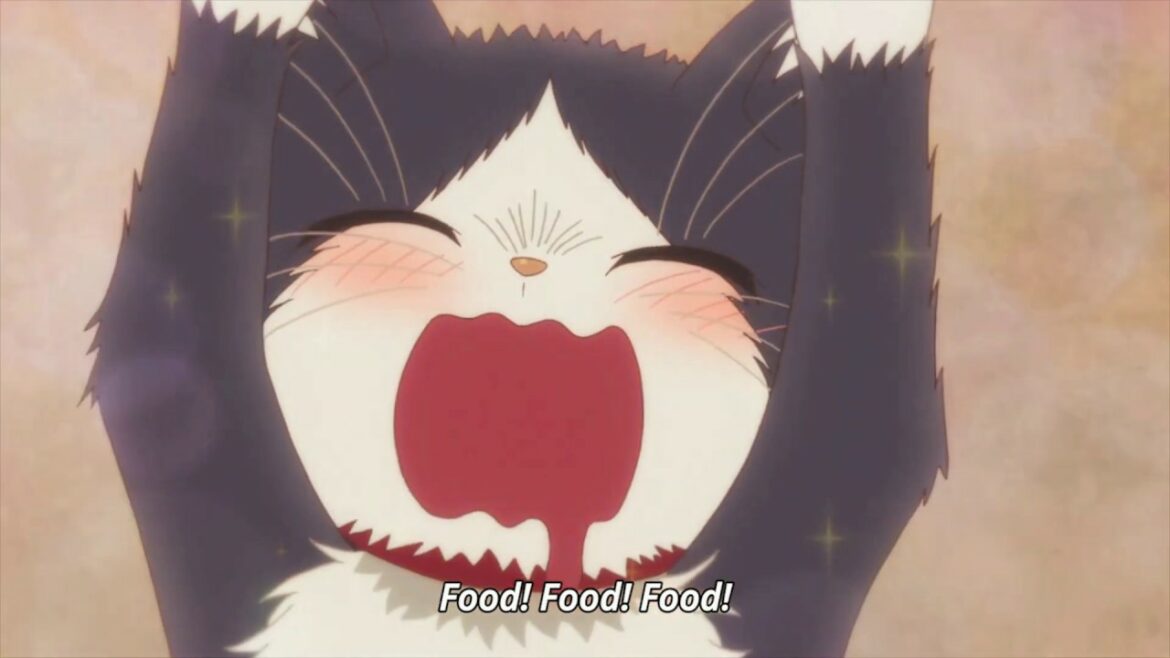 All HARU in My Roommate is a Cat