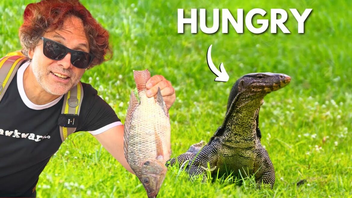 i fed GIANT lizzards in Thailand