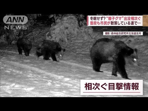 クマの出没相次ぎ襲われたケースも 冬眠しているはずじゃ?(2023年3月2日)