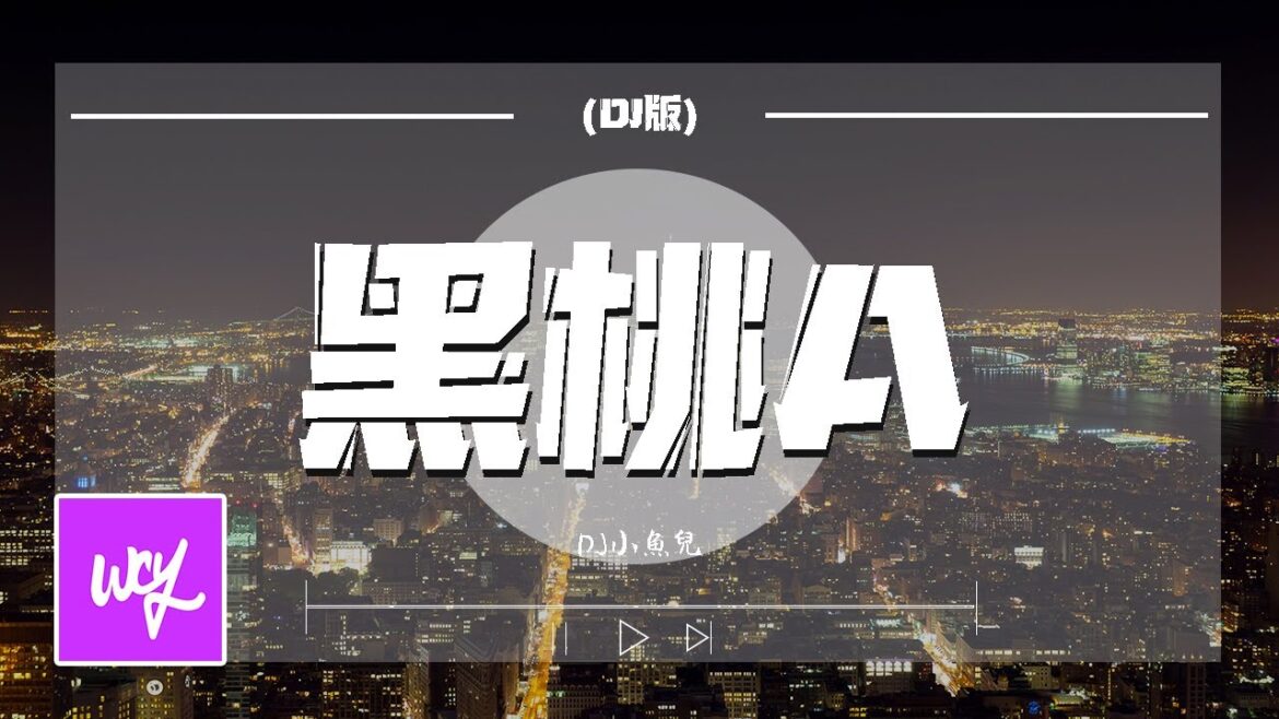 DJ小鱼儿 – 黑桃A「这时一群小姐姐把我包围 一人喝一杯那还能不醉」【動態歌詞/pīn yīn gē cí】#DJ小鱼儿 #黑桃A #動態歌詞