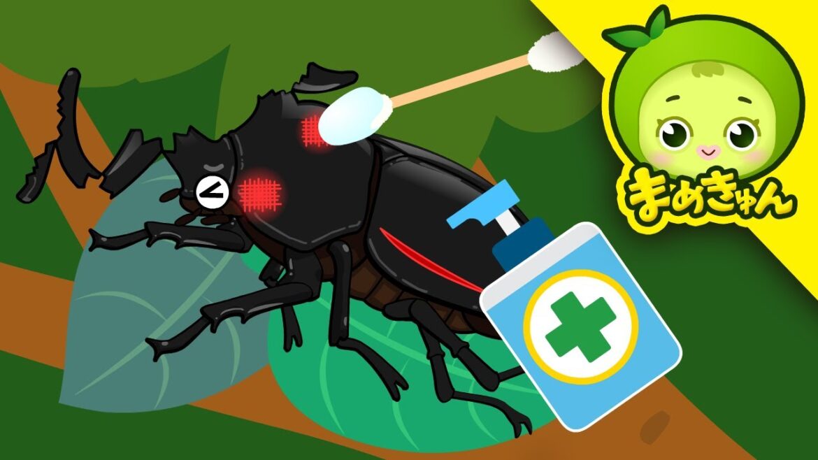 カブトムシを助けて | 昆虫救助隊 | こんちゅうレスキューたい | まめきゅん MAMEKYUNN