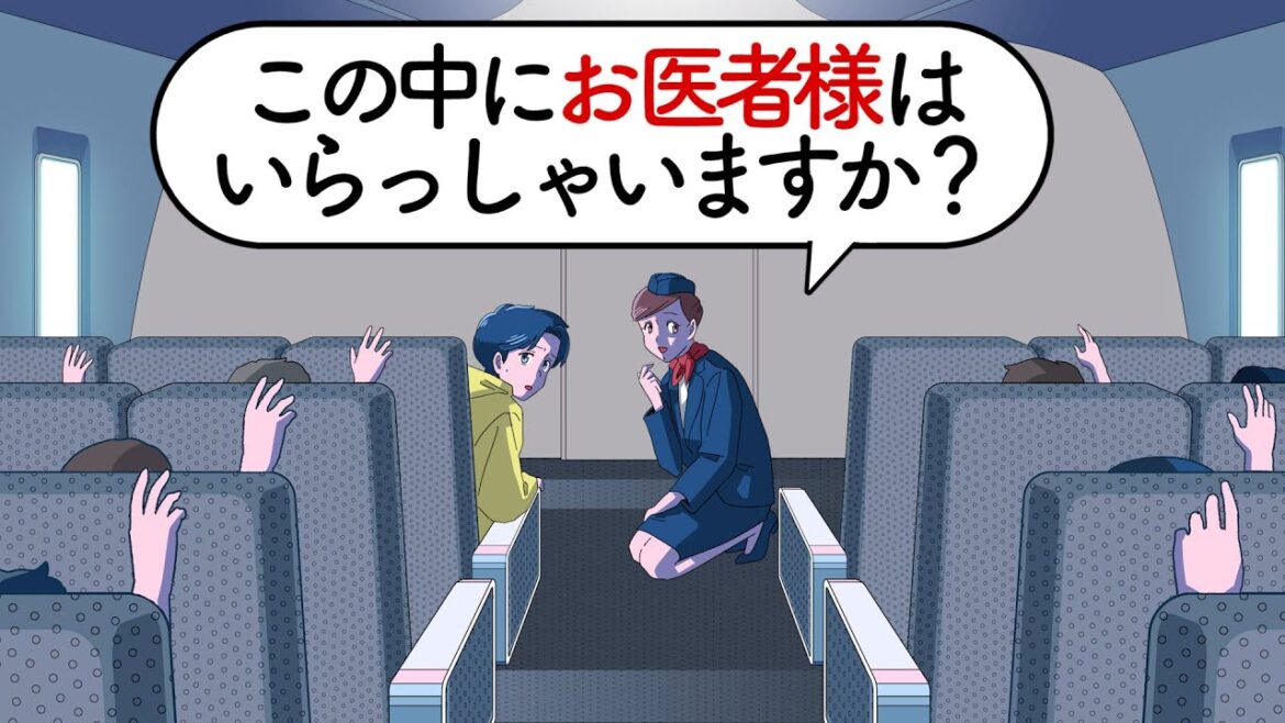 お医者様しか乗ってなかった飛行機【アニメ】【コント】