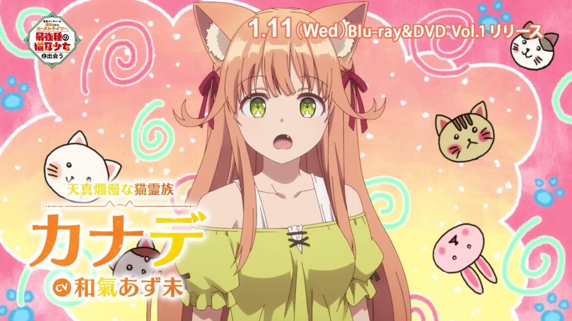 『勇者パーティーを追放されたビーストテイマー、最強種の猫耳少女と出会う』Blu-ray&DVD Vol.1 1/11(水)発売!