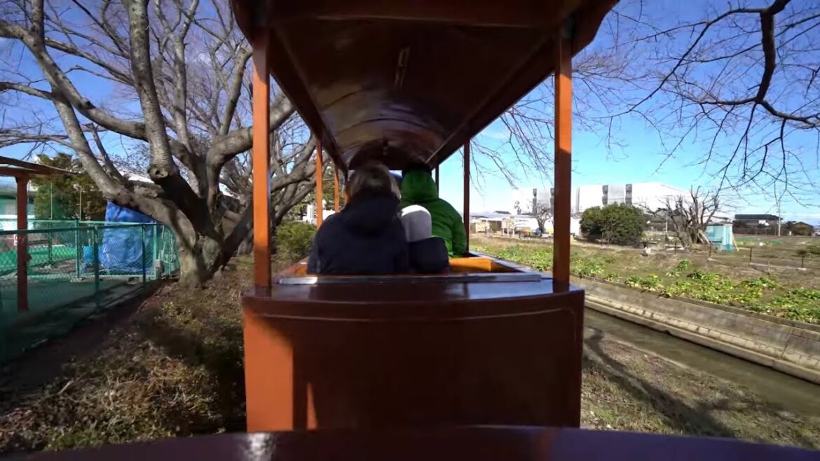 ๐ขใใใใฎๆ ใใใใฎๆ้้ / Railroad at Saitama Musashinomura