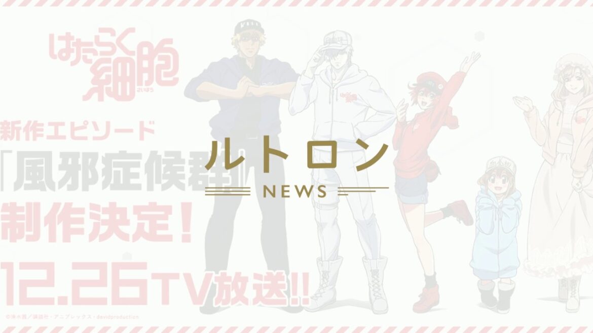 TVアニメ「はたらく細胞」新作エピソード制作&放送決定!