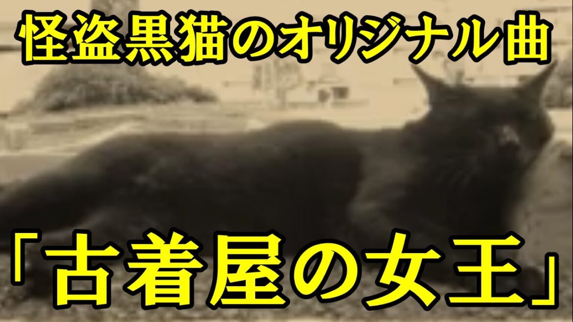 怪盗黒猫のオリジナル曲「古着屋の女王」一人多重録音 Original song “Queen of thrift shop”
