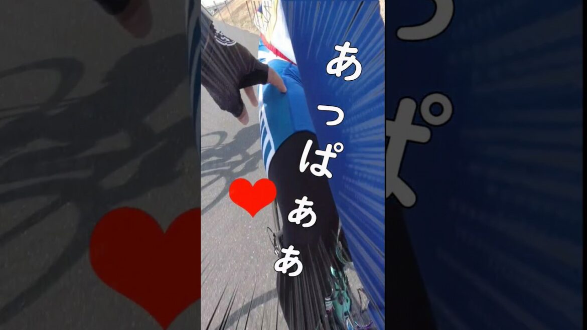 弱虫ペダル🚴黒田雪成 vs 岸神小鞠 名シーン再現🤣終わり筋肉?良質の筋肉(にく)?ロードバイク厨二病【自転車あるある】箱根学園 京都伏見🚴インハイ渋峠編