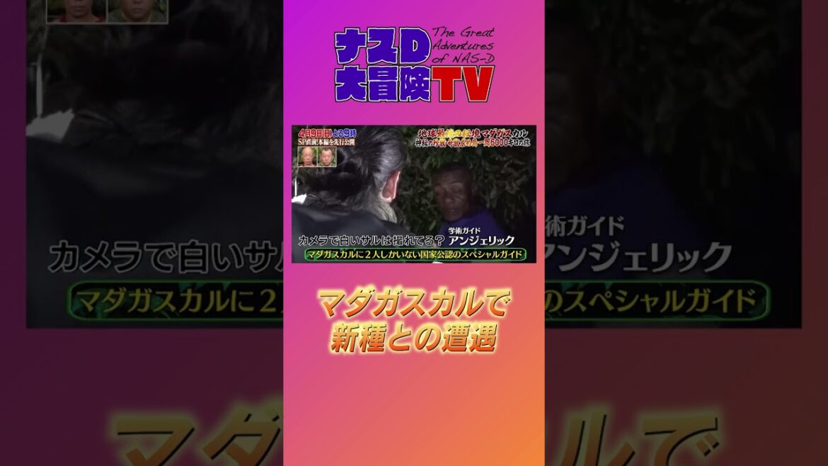 【第111話】ナスD大冒険TV 地球最後の秘境マダガスカルスペシャル放送直前 大迫力の見どころを先行公開編