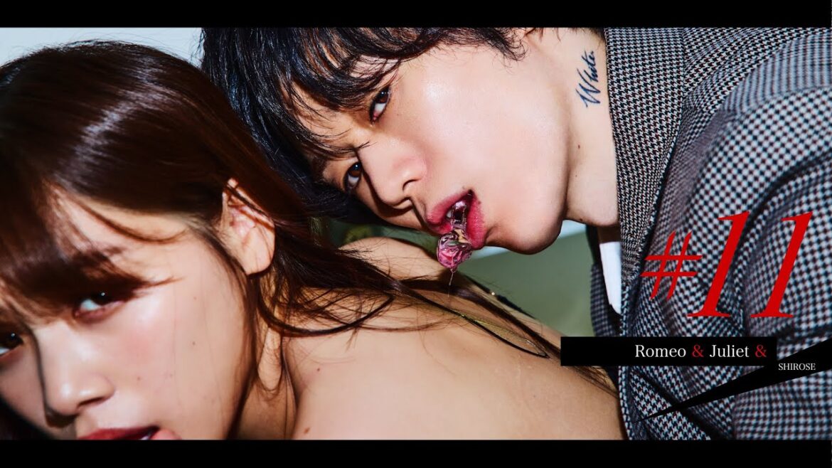 Romeo & Juliet & – SHIROSE from WHITE JAM (Official Live Video) # 11