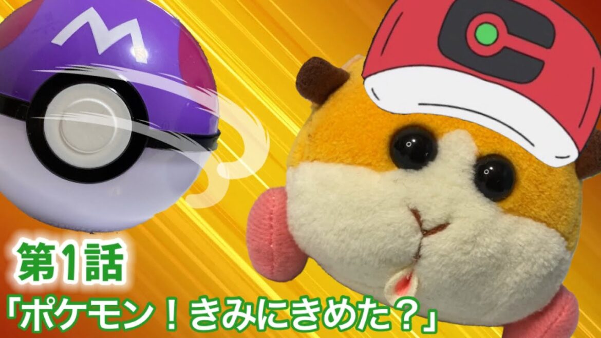 モルカー「ポケモン!きみにきめた?」 PUI PUIモルカー おもちゃアニメ