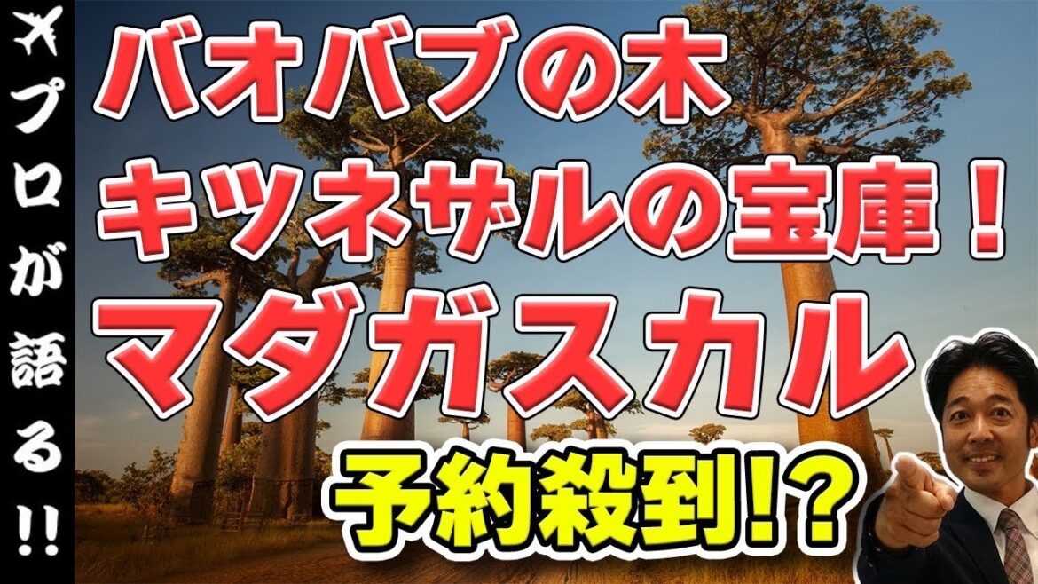 【海外旅行オーダーメイドツアー】マダガスカル旅行について徹底解説!どこにある?ベストシーズンは?観光スポットは?などについて詳しくお話しします!@925