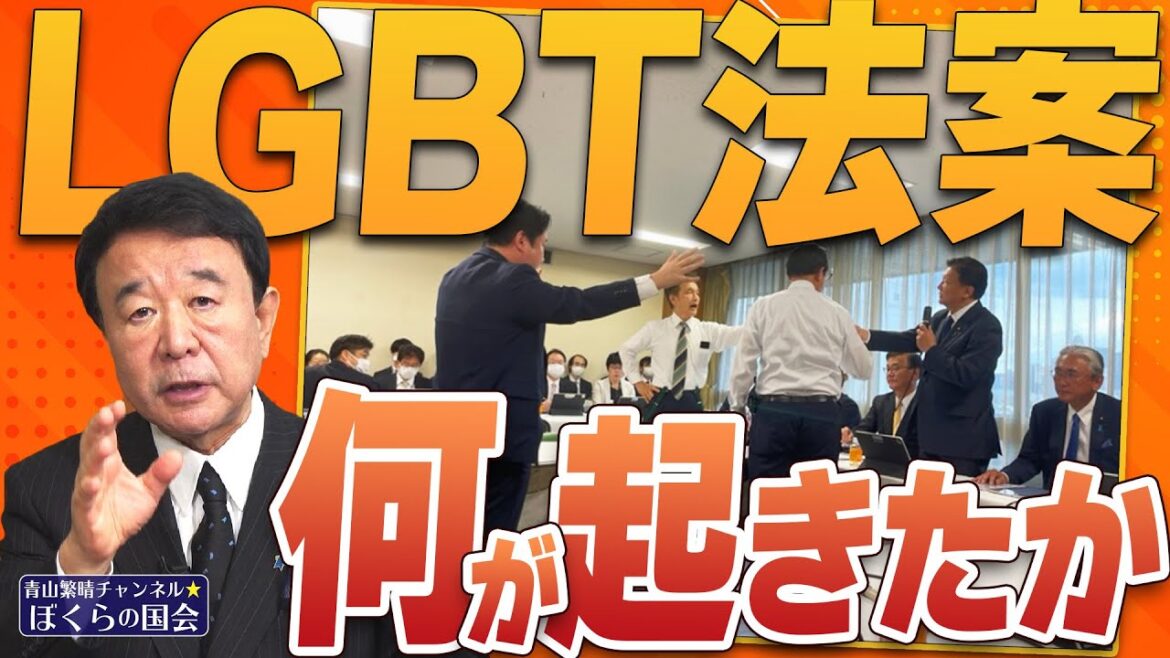 【ぼくらの国会・第521回】ニュースの尻尾「LGBT法案 何が起きたか」