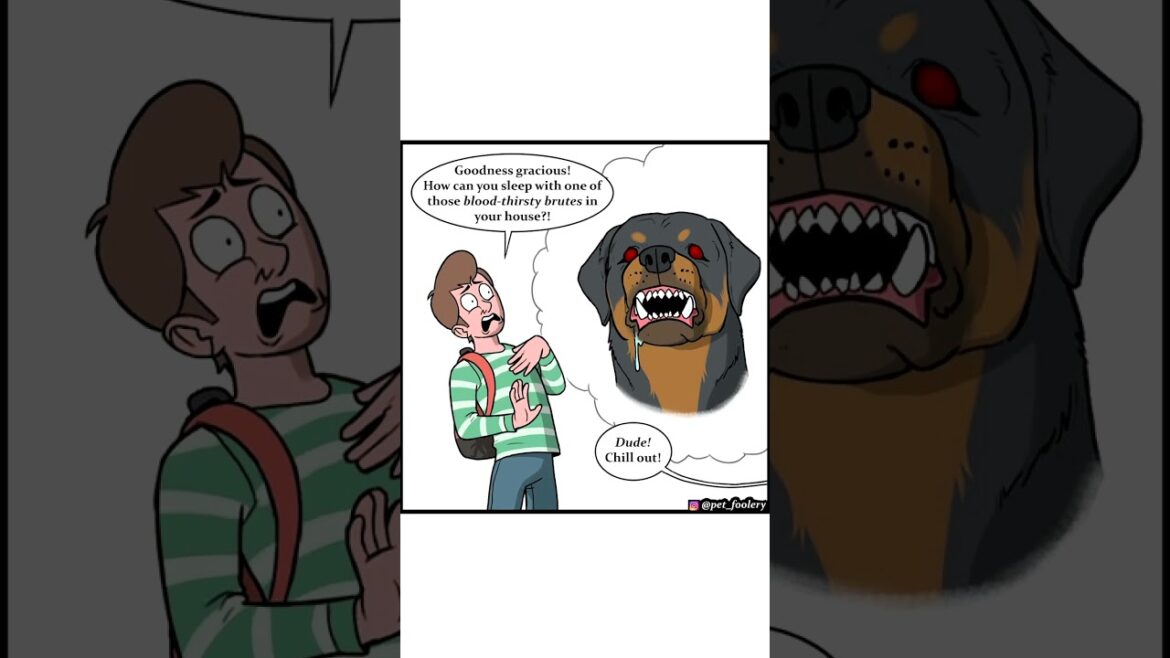 Pet Foolery: Episode 49 (Comic Dub)