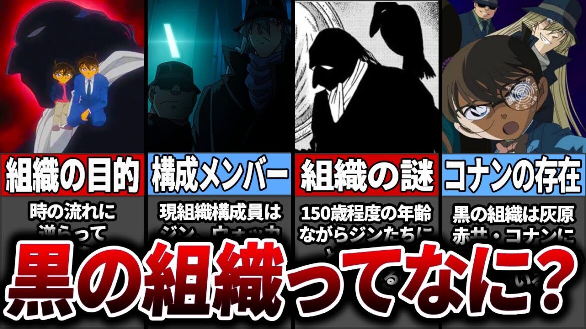 【入門編】コナンのメインストーリー復習【黒の組織】【名探偵コナン】【ゆっくり解説】