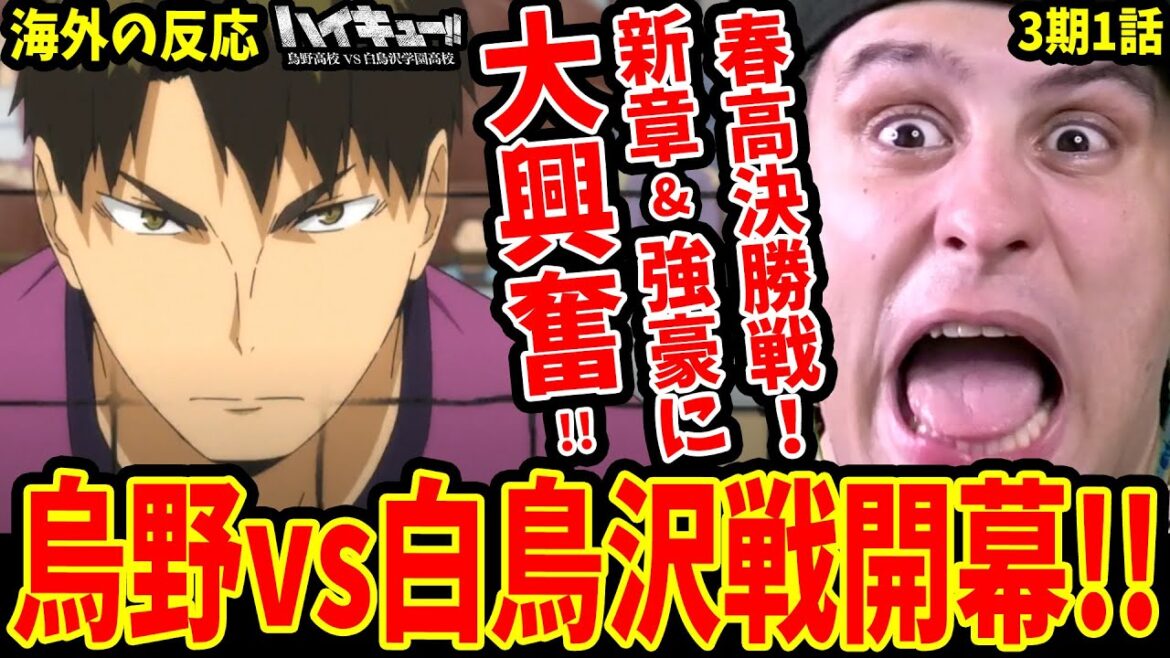 【ハイキュー3期1話 海外の反応】烏野vs白鳥沢開幕!!強豪に大興奮のバレーミリしら外国人【ハイキュー 海外の反応/Haikyuu!! Season 3 Reaction】