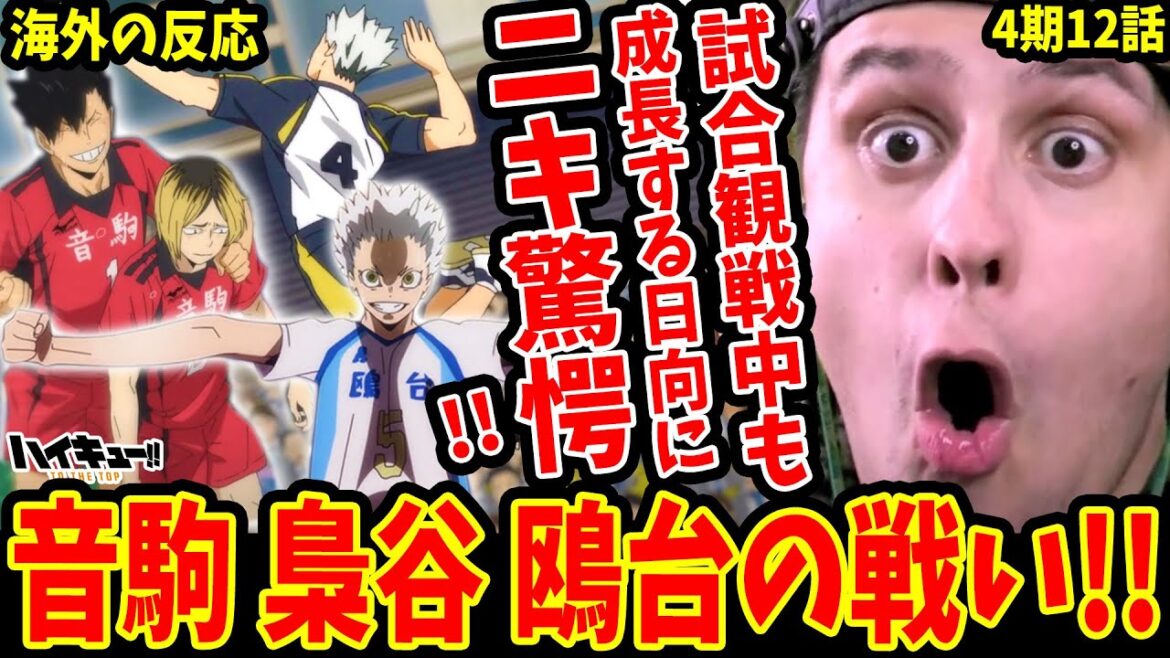 【ハイキュー4期12話 海外の反応】音駒 梟谷 鴎台の戦い!!試合観戦でも成長する日向に驚愕する海外ニキ!【ハイキューTO THE TOP/Haikyuu!! Season 4 Reaction】