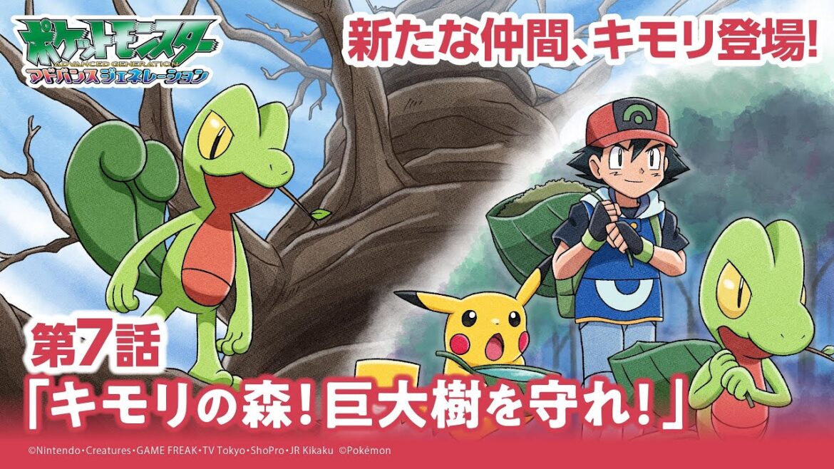 【公式】アニメ「ポケットモンスター アドバンスジェネレーション」第7話「キモリの森!巨大樹を守れ!!」(アニポケセレクション)