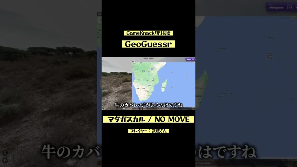 【GameKnack切り抜き】GeoGuessr マダガスカル/ NO MOVEがやばすぎる【スーパープレイ】#quizknock #ジオゲッサー