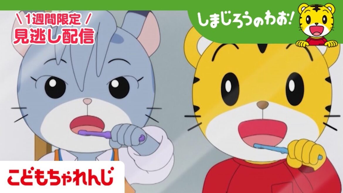 【見逃し配信】テレビ番組「しまじろうのわお!」#573 |はみがきしてたのに?!【しまじろうチャンネル公式】