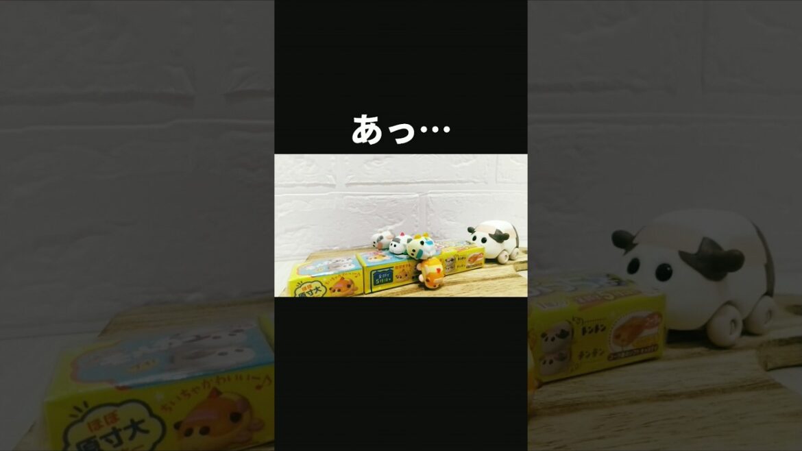 【PUI PUI Molcar】小さなモルカーたちはぷっちょの上でパフォーマンスをします。#shorts