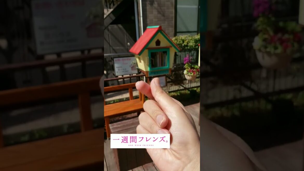 一週間フレンズ  聖地巡礼  南平  ONE WEEK FRIENDS